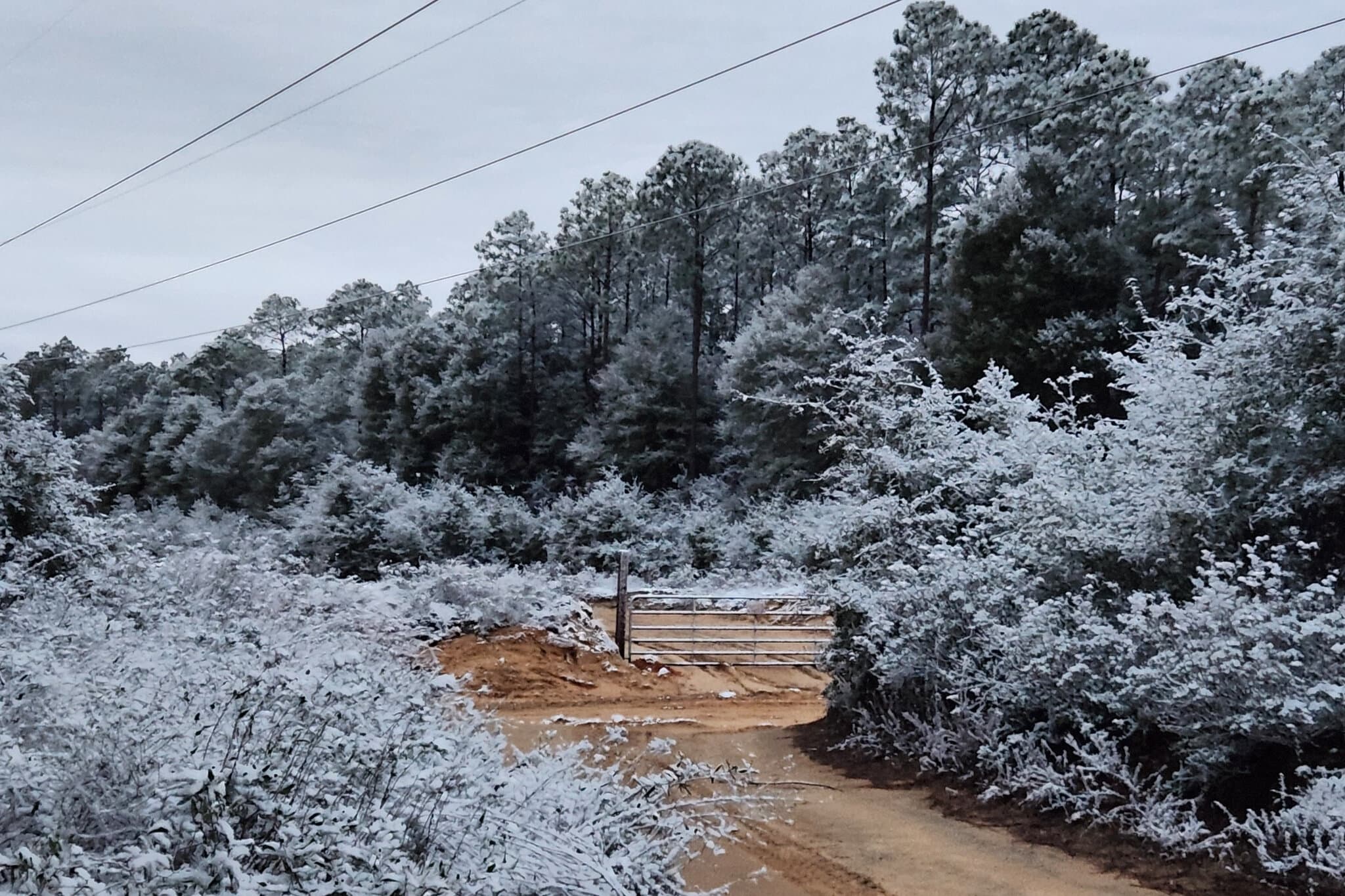 More Snow in Florida Than Utah? Why Weird Weather Has Dominated This Year.